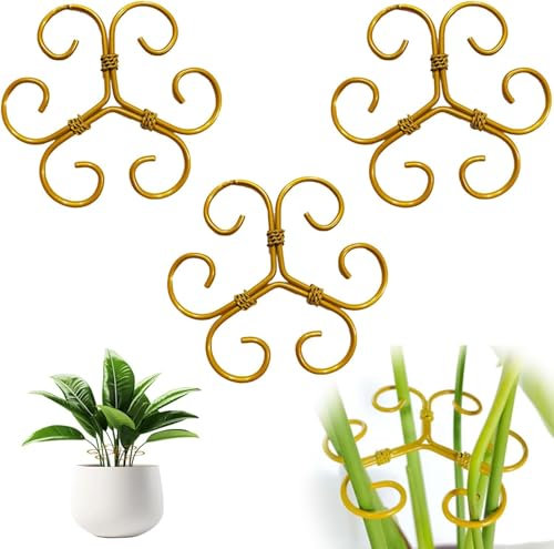Plant Stabilizer for Indoor Plants, Plant Stem Support, Plant Accessories Indoor, Monstera Plant Support, Ideal Plant Stem Holder for Thriving Growth (3PC-B)