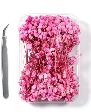APICORT Getrocknete Schleierkraut 20 Stiele, 8-15 cm Natur Trockenblumen Baby's Breath, Premium Qualität für Hochzeitsdeko, Haarschmuck, DIY & Wohnkultur, Geschenk für alle Anlässe, Rosa