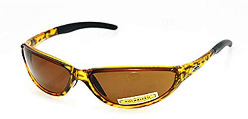 Smith Catalyst Sonnenbrille Brown stripe/SB18 Polarized