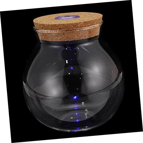 Toyvian Mikrolandschaftsflasche Flaschendekoration Für Landschaftskunst Dekorative Glasvase Wohnaccessoires Leere Glasflasche Mit Deckel Für DIY Garten Pflanzen Und Moos