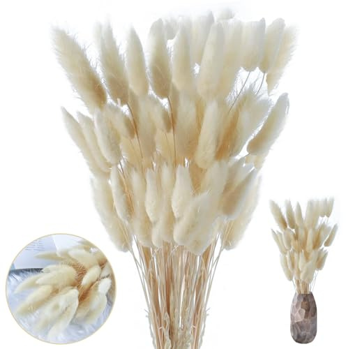 FUYTSUO 50 Stück Trockenblumen Klein Pampasgras, 43 cm Hasenschwanzgras Getrocknet Pampasgras Deko, Pampas Gras Trockenblumen Klein Pampas Gras für Deko Wohnzimmer Hochzeit (weiße)