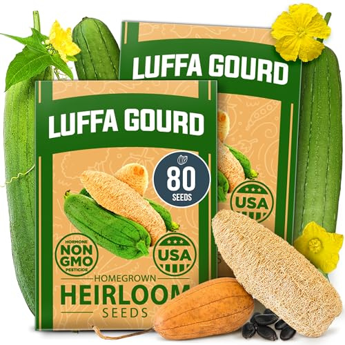 HOME GROWN Luffa Seeds 80+ Heirloom Non-GMO Loofah Gourd Seeds for Planting, High Germination, Natural Bath Sponges, Edible Vining Vegetable Garden, Harvest Young Gourd (Luffa aegyptiaca)