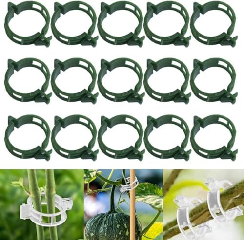 Generic Secured Plastic Plant Clip, 2025 New Plant Support Clips, Trellis Clips for Tomato, Grape Vine, Vegetables, Green-100pcs