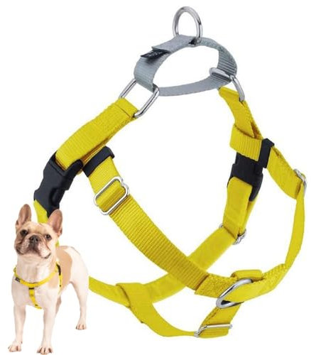 2 Hounds Design Freiheit verhindert Zerren Keine Leine Geschirr nur, 1, mittel