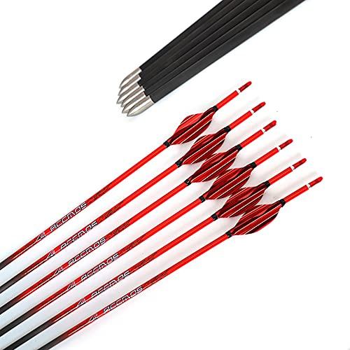 ACCMOS 32 Zoll Reinem Kohlenstoff Pfeil, Spine 800 ID 4,2 mm Bogensport Pfeile Spiral Feder für Erwachsene Jugend Compoundbogen Recurvebögen Jagd und Schussübungen (6pcs Spine 800 red)