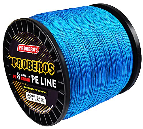 2000 Meter Angelschnur, 6LB-300LBM, 8 Ständer Angelfaden geflochtene Angellinie Spule Perlen für Meeresfische und Süßwasserfische,Blau,10LB(0.14mm)