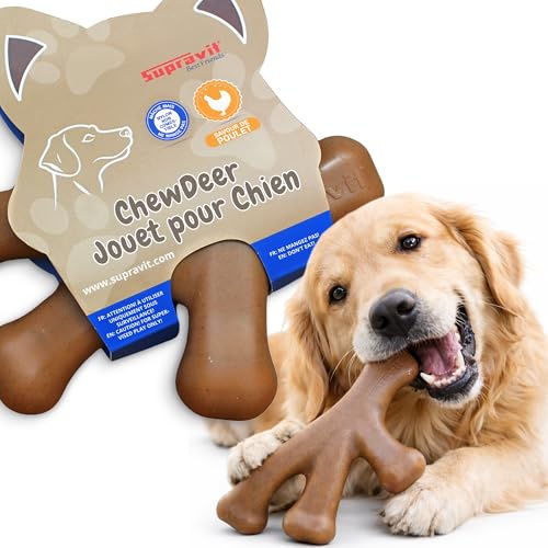 Supravit ChewDeer Hundespielzeug für Starke Kauer | Stabiles Hunde Kauspielzeug für Aggressive Kauer & große Hunde | Beißspielzeug Hund mit Chicken-Geschmack