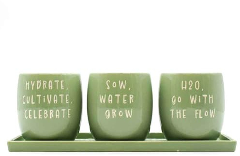 Upper Street Kitchen Herb Planter Set of 3 with Tray | Green Motivational Slogan Design | Ceramic | Indoor Outdoor | Herb Pot | Housewarming Gift