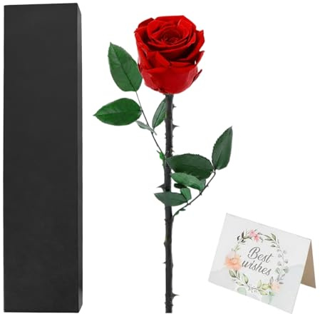 Hnonoxy Rose sur Tige, Roses éternelles, Cadeau de Saint-Valentin pour Elle, Rose Rouge en Bouquet pour Femme, Maman, Petite Amie, épouse, amies, Cadeau d'anniversaire avec Une Rose éternelle