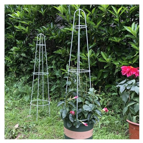 NOIRDA Traliccio da Giardino per Piante Rampicanti, Griglia per Piante Rampicanti da Esterno Alto 96 Cm per Piante in Vaso, Confezione da 2(White)