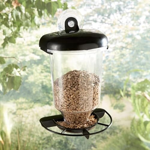 Mealworm and Suet Feeder Hanging Bird Feeding Station for Small Birds Bird Seed Feeder for Wild Birds Metal Bird Feeder for Garden Bird Feeding Station (Window Bird Feeder)