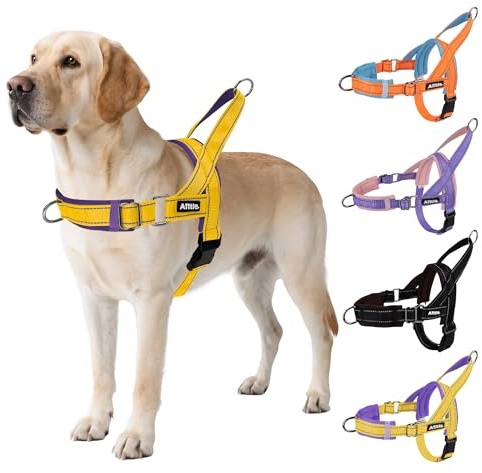 AIITLE Tactical Dog Harness Neck & Chest Adjustable, Yellow-Purple-L | No Pull Dog Harness, Reflective Tactical Harness with Soft Padded, Easy for Walking Training Running for Large Dogs