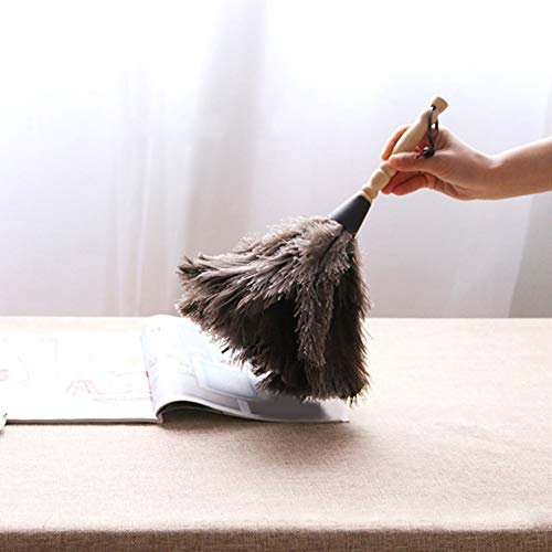 Mini plumero, antiestático, reutilizable, mango de madera, pluma de avestruz, herramienta de limpieza para escritorio