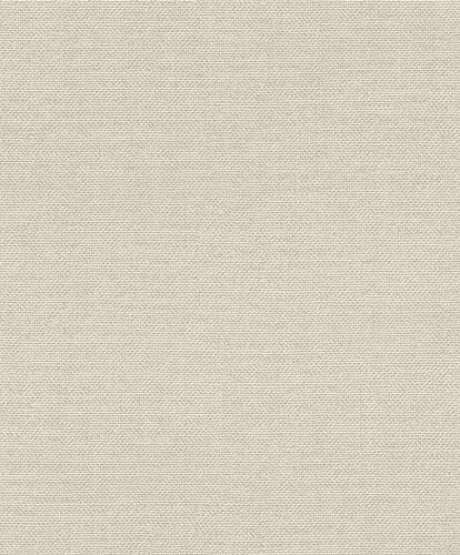 Rasch Tapeter 312140 – unik tapet av fleece i ljusgrå från kollektionen Color your life – 10,05 m x 0,53 m (L x B):
