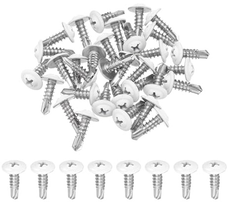 QUARKZMAN 30Pcs M4.8x16mm Vis Autotaraudeuse Tête Cylindrique Blanche, Vis Autoperceuses en Acier Inoxydable 410 pour Tôle, Argentées