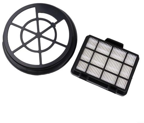 ZYNCUE Conjunto de filtro de vacío para Russell Hobbs RHCV1611 Compact XS cilindro aspiradora, 1 filtro de protección del motor y 1 filtro de escape