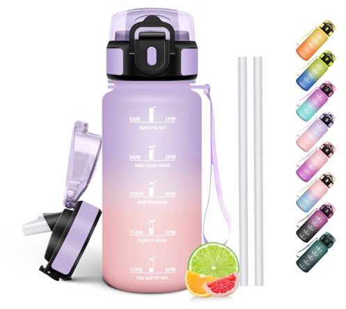 HoneyHolly Gourde Paille, Gourde 500ml, sans BPA & Étanches, Bouteille, Motivation Bouteille d'eau, Avec Marqueur de Temps, Petite Water Bollte pour Gym, Ecole, Cyclisme, Plein Air, Sport