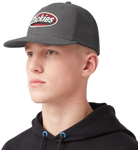 Dickies Herren-Arbeitskappe aus Segeltuch, GRAU, Einheitsgröße