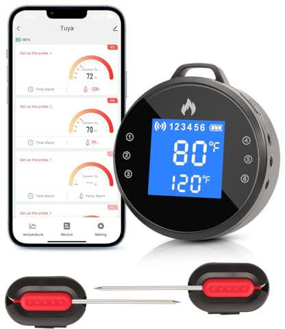 Sanwo WiFi Meat Thermometer with 2 Probes, Digital Wireless Instant Read Smart 2000mAH Rechargeable BBQ Grill Meat Thermometer with Timer, Alarm for Smoker, Oven, Grill, Roast, Kitchen Food Meat