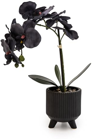 Madison & Mayfair Sophisticated Matte Black Lifelike Orchid in Ceramic Footed Pot