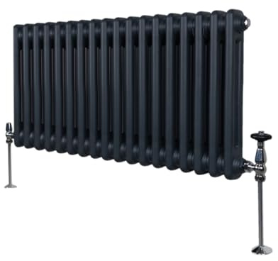 Monster Shop Radiatore Termosifone a 2 Colonne 300mm x 832mm Moderno Centralizzato Grigio Antracite in Acciaio Inox Orizzontale a Parete Cucina Soggiorno Bagno Kit di Fissaggio e Spazzola Inclusi