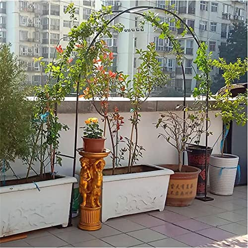 WJMTXAZH Arche Jardin Aluminium Largeur, Arche À Rosiers Métal, Filet À Plantes Grimpantes, Filet de Treillis, pour Récolte de Concombres, Légume, Vignes, Plantes Grimpantes,120x220x40CM