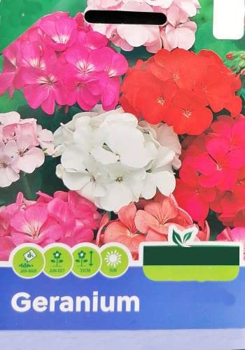 Semillas Geranio Planta Interesante por su Persistente Follaje y por la Bonita Floración