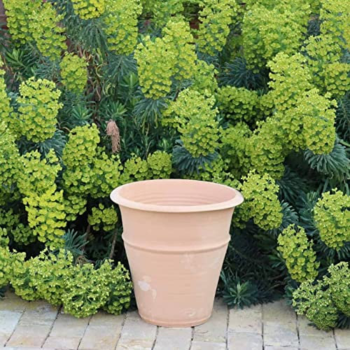 Palatina - Vaso in ceramica, fatto a mano, in terracotta, resistente al gelo, resistente alle intemperie, per giardino, terrazza, Yucca (40 cm)