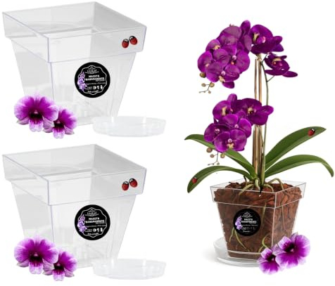 LiveLaif - 2 Maceta Orquidea Transparente Cuadrada 14x14x15 cm + Plato Maceta | Macetas Plastico | Macetas para Orquídeas Transparente | Macetero Orquidea | Elegir Tamaño y Unidades