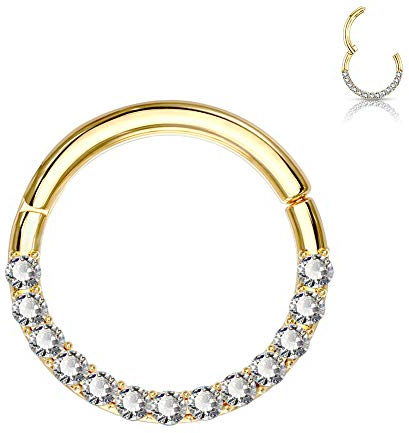 OUFER 16G 14K Solid Gold Hinged Clicker Segment Ring Lip Nose Hoop Helix Daith Tragus Cartilage Earring Septum Ring