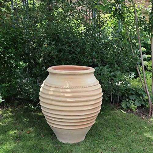 Palatina Keramik Amphore en terre cuite faite à la main, résistante au gel et de qualité supérieure, amphore de jardin bombée Ficus, 70 cm
