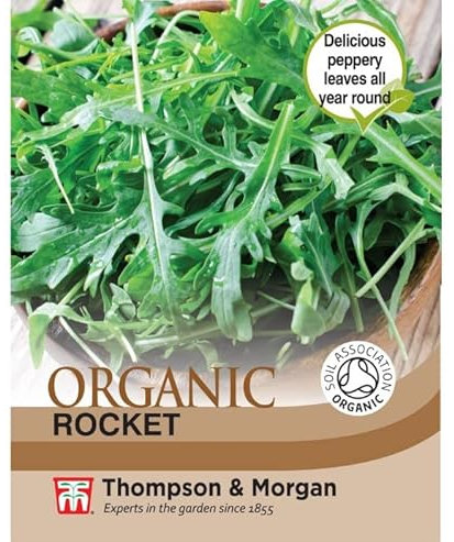 Herb Rocket Cultivated Organic Seeds Eruca vesicaria Salad Rocket Arugula Roquette Hardy Annual Easy to Grow Your Own Garden Vegetable Plants 1x Packet (Approx. 400 Seeds) by Thompson and Morgan