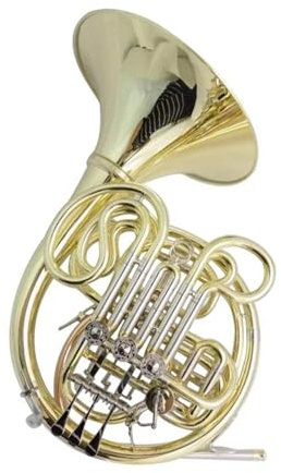 waldhorn instrument F/Bb Doppel Waldhorn Musikinstrumente 4 Ventile Unterteilt Mit Etui Mundstück Goldlack