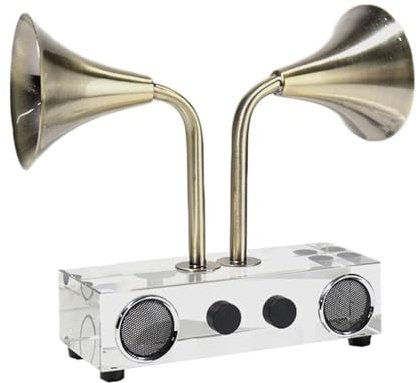 Gaxcent Phonograph Retro Stil Dekoration,Menschen Im Alter 20-30 Und Männer Im Alter 50-59, Phonograph Deko Grammophon Antik,Clear