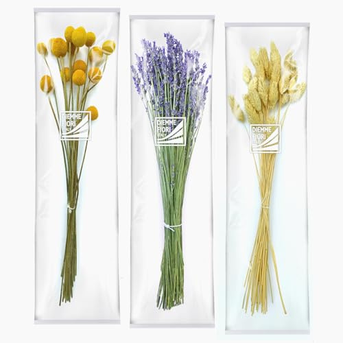 DIEMME FIORI | Assortimento 3 Bouquet di Lavanda, Craspedia, Phalaris Naturali Essiccati, Lungo Periodo di Conservazione, Ideale per Decorare ogni Ambiente, 40g / 120g