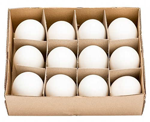 NaDeco 12 große ausgeblasene Gänseeier ca. 7-8 cm Gänse Eier Osterdeko Osterdekoration Ostereier Dekoeier