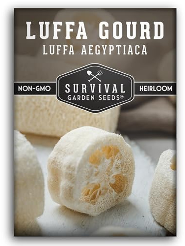 Luffa Gourd Seeds for Planting - Survival Garden Seeds (1 Pack)