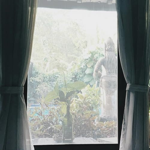 CAPASTEC Selbstklebende mattierte Fenster-Sichtschutzfolie,Fensterfolie Blickdicht Selbsthaftende, Sichtschutzfolie Anti UV Sonnenschutz für Büro Wohnzimmer 78,74 L x 17,72 W, Klar