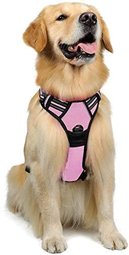rabbitgoo Hundegeschirr Grosse Hunde Anti Zug mit Griff, L, Rosa | No Pull & Individuell Anpassbar, Atmungsaktiv Gepolstert, 2 D-Ringe, Schnellverschlüsse, Reflektierend für Gassi & Training