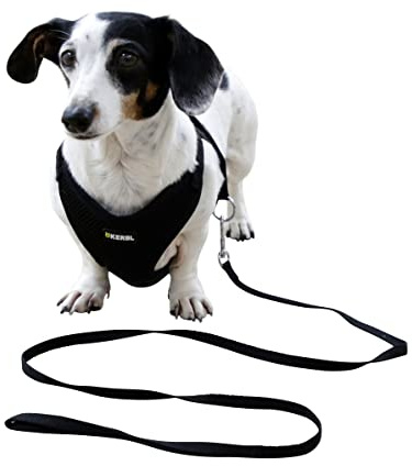 Kerbl Pet Welpengeschirr mit Leine, schwarz, 30-50 cm/10 mm