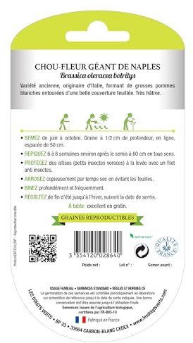 Graines Chou-fleur géant de Naples BIO Les Doigts Verts