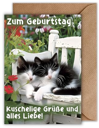 Geburtstagskarte mit Katzen – Niedliche Klappkarte DIN A6 mit Umschlag – „Zum Geburtstag – Kuschelige Grüße und alles Liebe“ – Tiermotiv für Frauen, Kinder, Freundinnen & Katzenfreunde