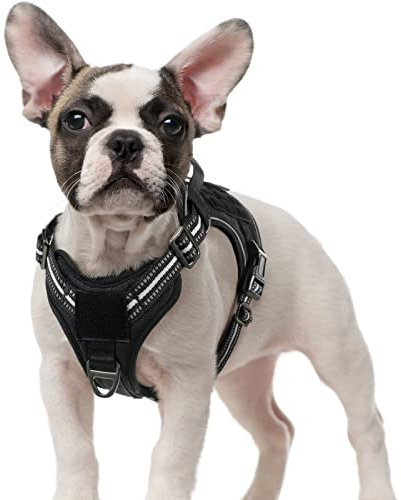 rabbitgoo Hundegeschirr Kleine Hunde, Anti Zug Geschirr Hund Verstellbar mit Griffe Verbreitert, Robust und Verschleißfest, Taktisches Hundegeschirr mit Metallschnallen zum Wandern(S, Schwarz)