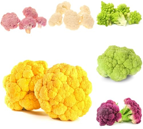 Semi di cavolfiore - vecchie varietà di esotico per gli amanti del giardino invernali sostenibili giardino sul balcone resistenti per giardini 350pcs