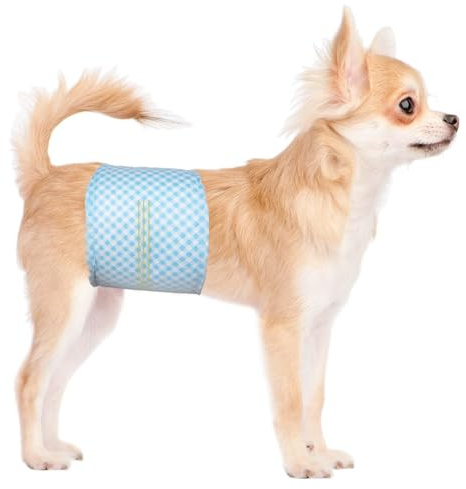 Flying Paws Einweg-Hundewindeln für Rüden L, 20 Stück mit Nässeindikator | Auslaufsichere Rüdenwindeln mit hoher Saugkraft, Taillenumfang 63–80 cm, Bauchbinden für Markierung, Harninkontinenz, Reisen