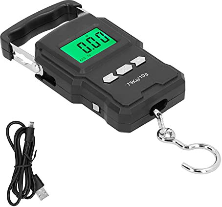 Balance à Bagages Rechargeable 75kg, Balance électronique Portable à Crochet, Balance Portable USB, Balance Express Multifonctionnelle pour la Cuisine à Domicile