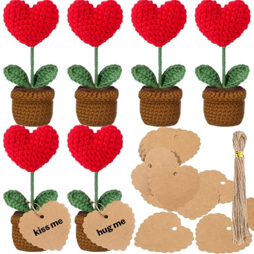 Hotop Mothers Day Crochet Heart Gifts Handmade Heart Potted Plant Artificial Knitted Plants with 50 Tags Strings Anniversary Birthday Mom Women Teacher Coworker Gift(Red,6 Pcs)