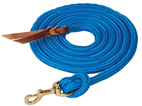 Weaver Leather Original Padded Non-Adjustable Halters, Average Blue, 5/8 x 10'