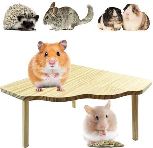 SZSMW Hamster Cage - Hamster KäFig - Hamster ZubehöR FüR Den KäFig | Sandbad Hamster - Geeignet FüR Hamster,Kaninchen,Chinchillas,Meerschweinchen und Gutes Spielzeug,die Bewegung FöRdern KöNnen