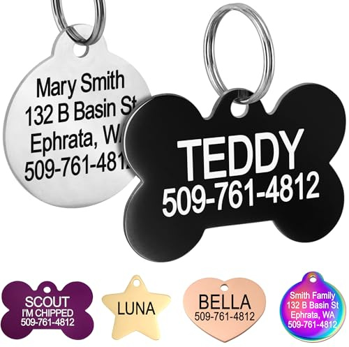 GoTags Dog Tags Personalized Engraved Pet ID Tags, Stainless Steel, Front and Backside Engraving, Available in Bone, Round, Heart, Bow Tie and More, Small and Large Dog and Cat (Pack of 1)